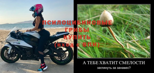 дживик Богданович